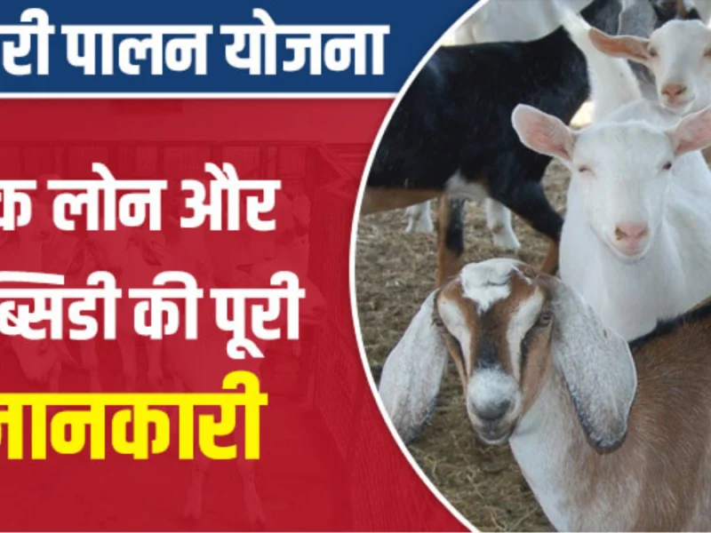 Bakri Palan Yojana