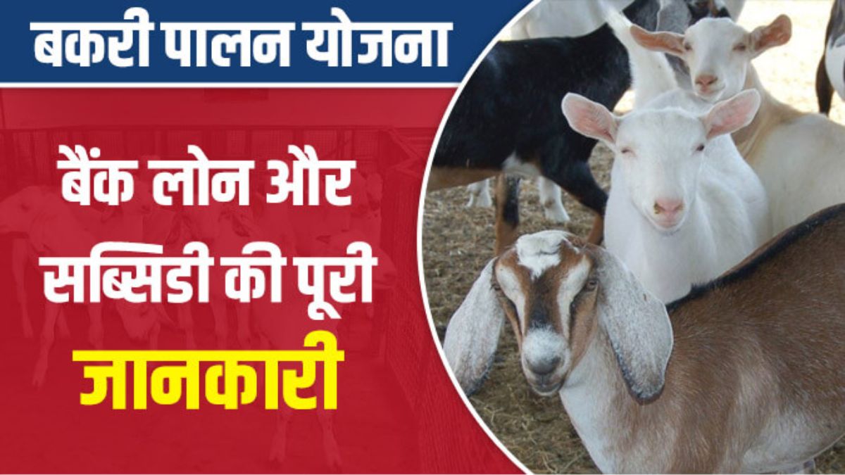 Bakri Palan Yojana