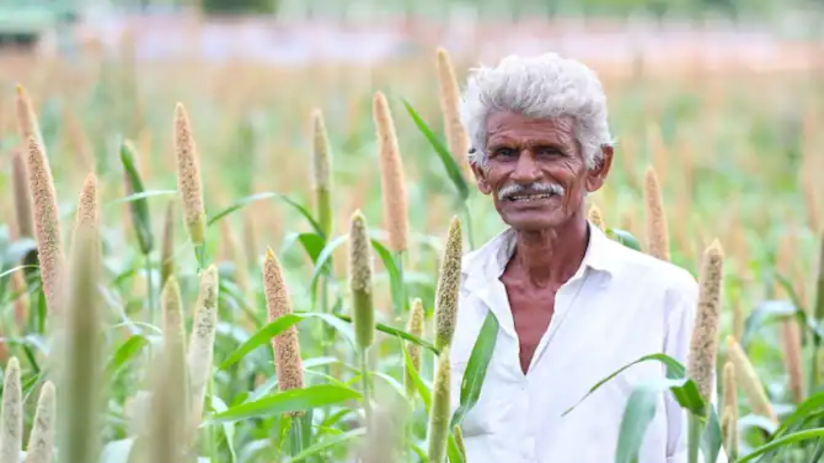 International Year of Millets