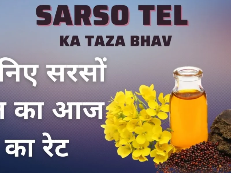 Sarso Tel Ka Taza Bhav